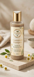 RosyDew Phytolab Chamomile Gentle Care Shampoo | Soothing & Nourishing Herbal Shampoo | For Soft, Smooth & Healthy-Looking Hair